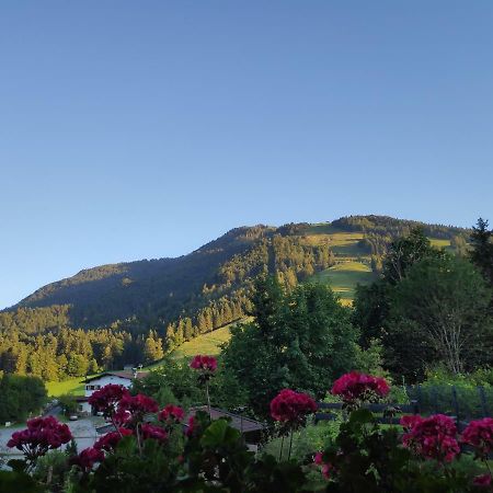 Appartement Unterbergblick Kössen Eksteriør billede
