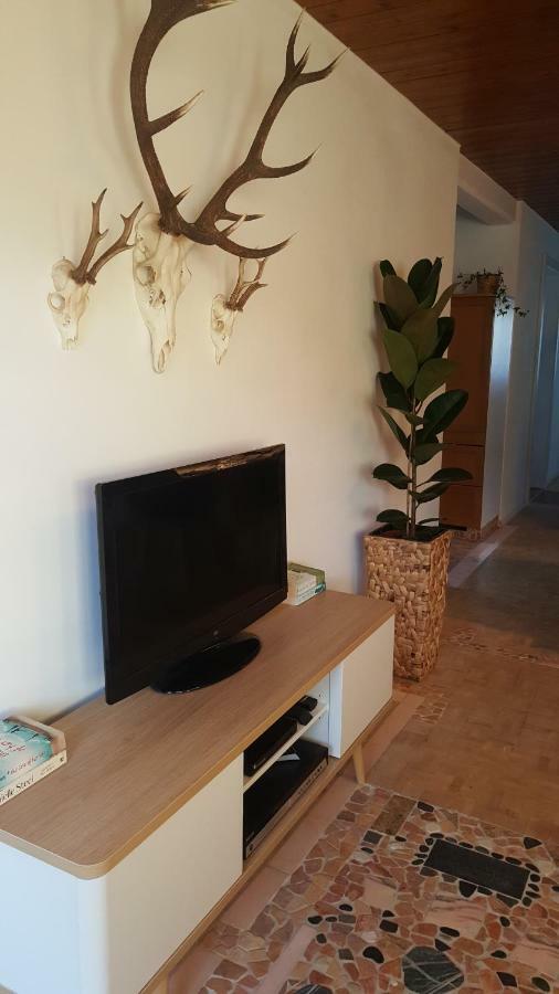 Appartement Unterbergblick Kössen Eksteriør billede